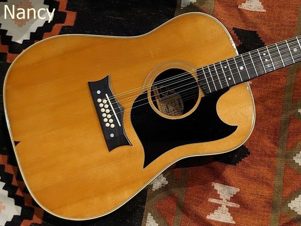 

the grammer r-10 12 strings model electric guitar