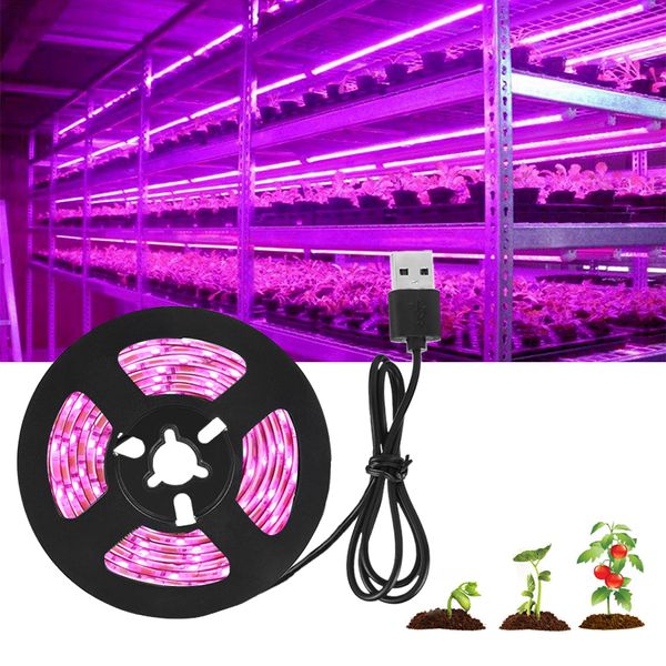 DC 5V USB LED Grow Light Full Spectrum 5m 10m Bitki Şeridi Sebze Çiçek Fidesi Çadır Kutusu