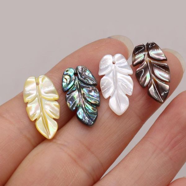 Чары 1pcs Natural Shell Penne Mother of Pearl Leafsed для ювелирных изделий для ювелирных изделий изделия из колье с серьгами bracelet Accessorycharms