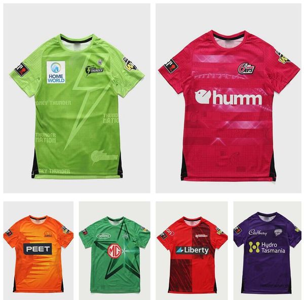 

2021 2022 rugby jerseys 21 22 cricket suit men t-shirt 5xl, Black;blue