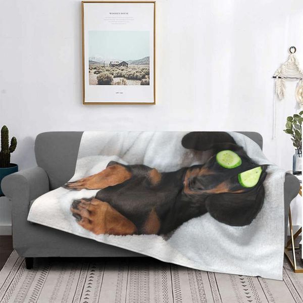 Decken Hund Dackel Strickdecke Fleece Geschenk für Tierhundeliebhaber Warmer Überwurf Flugzeug Reisebett TeppichDecken