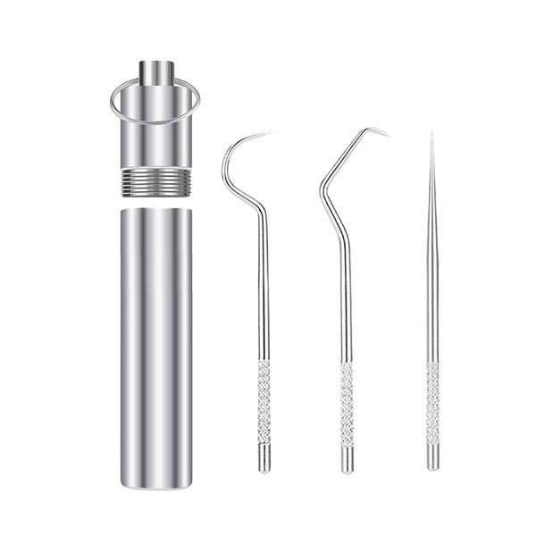 

stainless steel toothpick set accessories portable oral cleaning tools artifact outdoor picnic camp reusable household travel storage, Silver