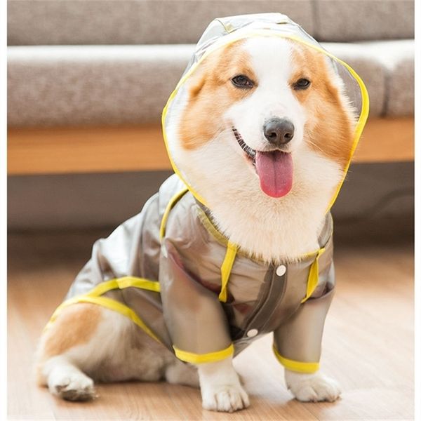 Corgi Cachorro da capa de chuva galês Corgi Roupas à prova d'água Casanete de chuva PEMBROKE PEMBROOK