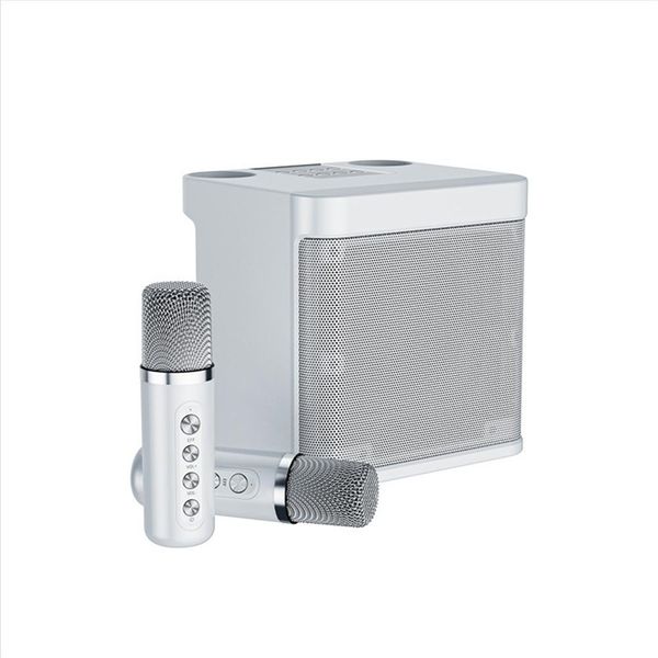 2022 neue 100w Ys-203 Tragbare Professionelle Elektronik Dual Mikrofon Bluetooth Lautsprecher Intelligente Externe Karaoke Gerät Hause Lautsprecher
