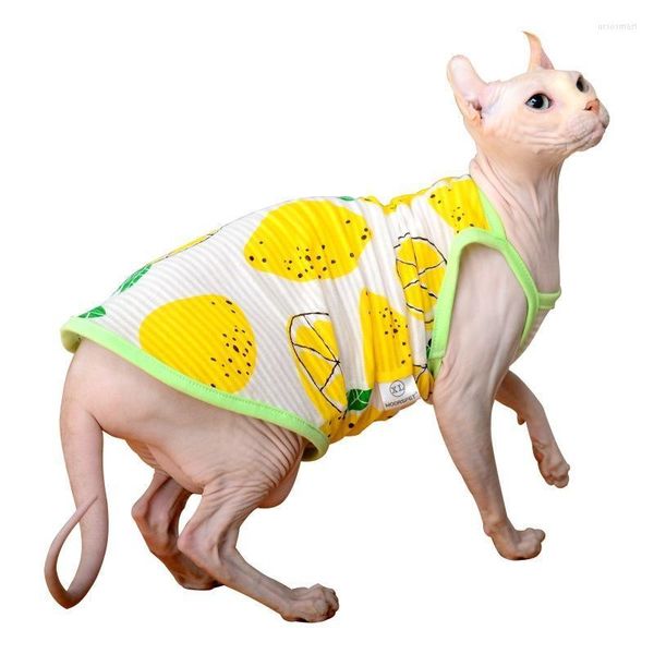 Trajes de gato roupas de estimação roupas frias verão camisola protetor solar sphynx camisetas de leite azul sem pêlos para gatos