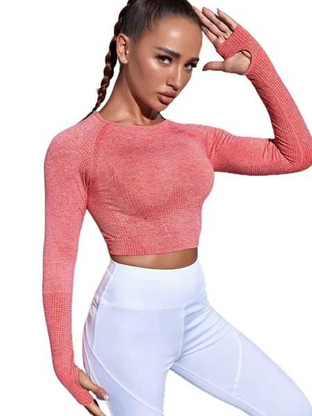 

solid seamless high elastic crop sports tee x5sf#, Gray