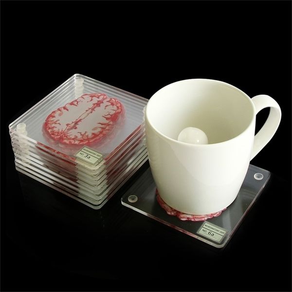 Coasteres de espécime de órgão 3D de 10Pieces/set 3D Conjunto de bebidas Tabela Coaster Fatias cerebrais quadrados acrílico de vidro bêbado Cientistas Gift 201210