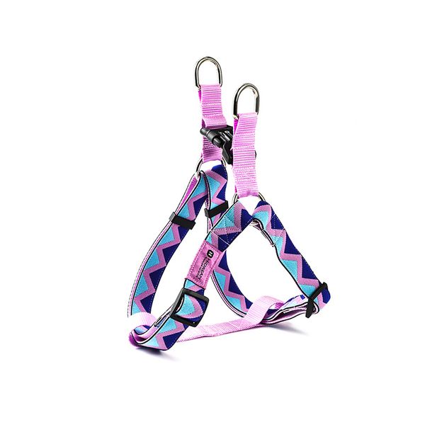 Rainbow Series Pet Dog Harness Gollar colorido Cão de cão impresso colorido Cole