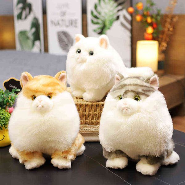 Lifelike gatos abraço cheio simulação bonito gato boneca vida real pet brinquedos decoração para casa presente de aniversário para meninas bebê crianças j220704