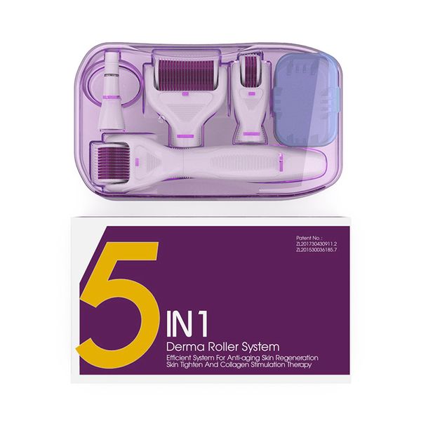5-in-1-Mikronadel-Rollenset mit 4 Köpfen, 1200/720/300/12 Nadeln, Haarausfall-Behandlung, Tattoo-Schönheits-Werkzeuge, Hautpflege-Werkzeuge