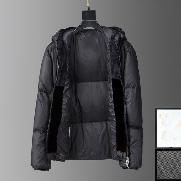 

men's down jacket clothing luxury coat women's fashion casual warm coats mens hooded thickened leisure male woemns clothes black w, Black;brown
