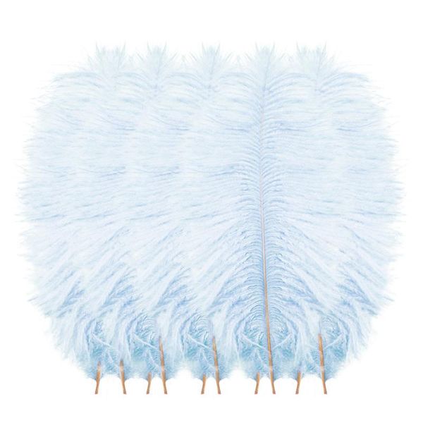 Decoração de festa 10pcs/lote de avestruz de avestruz natural de casamento casa DIY Plumes flutuantes de mesa de mesa artesanato 5GParty