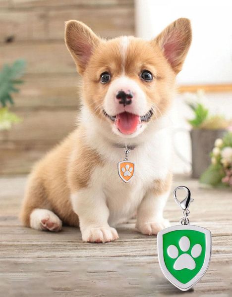 Targhetta per cani Collare per cani da compagnia personalizzato Cuccioli Collari identificativi per gatti Etichette in metallo inossidabile Accessori per animali domestici per cani di piccola taglia