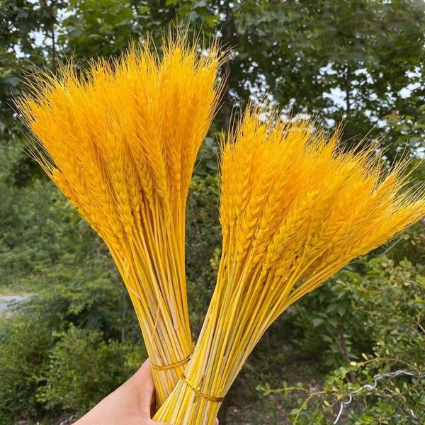 Ghirlande di fiori decorativi 23 cm Spiga di grano Fiore naturale essiccato per la decorazione della festa nuziale Tavola di casa fai da te Decorazioni natalizie BouquetDecorati