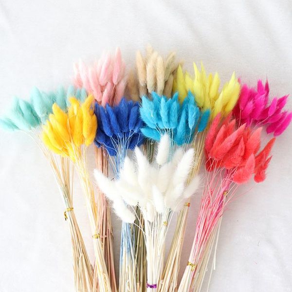 

real flower bouquet pampas 30pcs 45cm natural dried reed tail grass bunch family wedding decoration