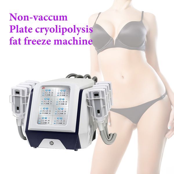 Nova placa de aquecimento Cryo Nenhuma máquina de congelamento de gordura de gordura portátil 360 máquina de cryolipolysis