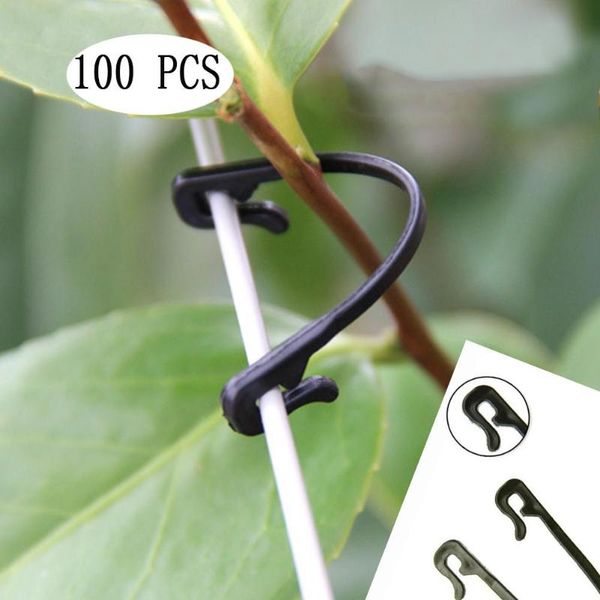 Altre forniture da giardino 100PCS Viti di fissaggio Fibbia legata Gancio Pianta Clip per innesto vegetale Supporto per serra agricola