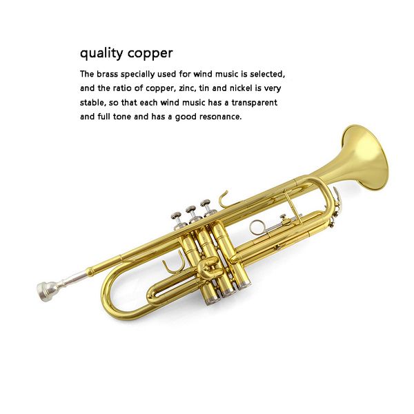 

instrument student beginner professional playing lacquer gold trumpet instrument