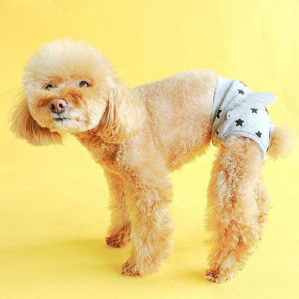 Köpek giyim evcil hayvan orospu köpekler için fizyolojik külot shih tzu Yorkshire çocuk bezi köpek kedi contewear ropa iç femenina kanepe chiendog