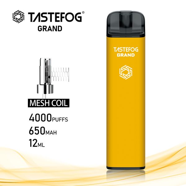 QK Tastefog Mesh Bobin Tek Kullanımlık Vape 4000 Puf Sigara 5% 12ml şarj edilebilir 650mAh Pil Fabrikası Toptan Amerika ve Avustralya Pazarı