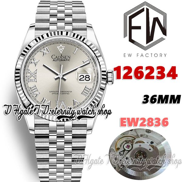 

ewf v3 ew126234 ew2836 automatic womans watch 36mm fluted bezel gray dial roman markers 904l steel bracelet with same serial warranty card e, Slivery;brown