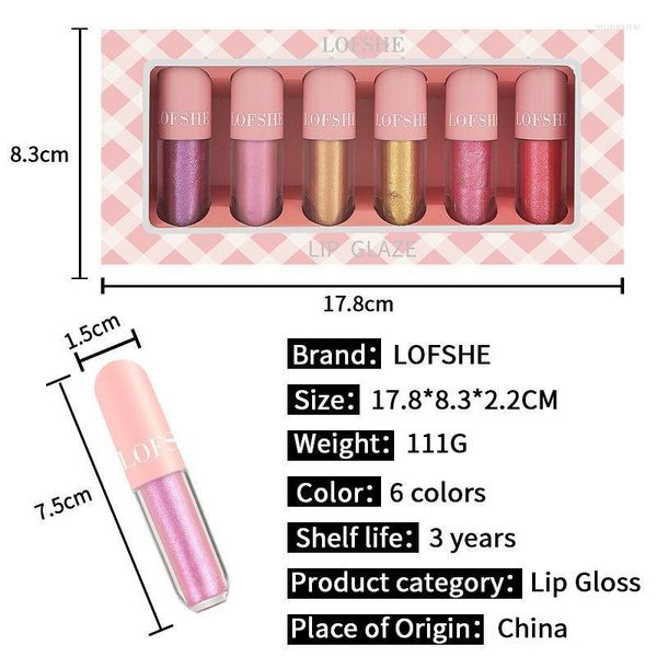 Lipgloss 6-Farben-Farbabdeckungsbox Feuchtigkeitsspendende helle wasserfeste Glasur Pink Rose Red Big Kit Plumper GlossLip Wish22