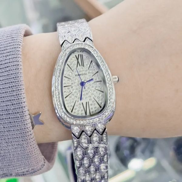 

noble light luxury style diamond watch, Slivery;brown