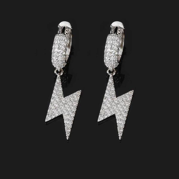 

woman designer diamond earring fashion dangle hoop gold hip hop zirconia stud man earrings designer mans silve ewelry party gift, Silver