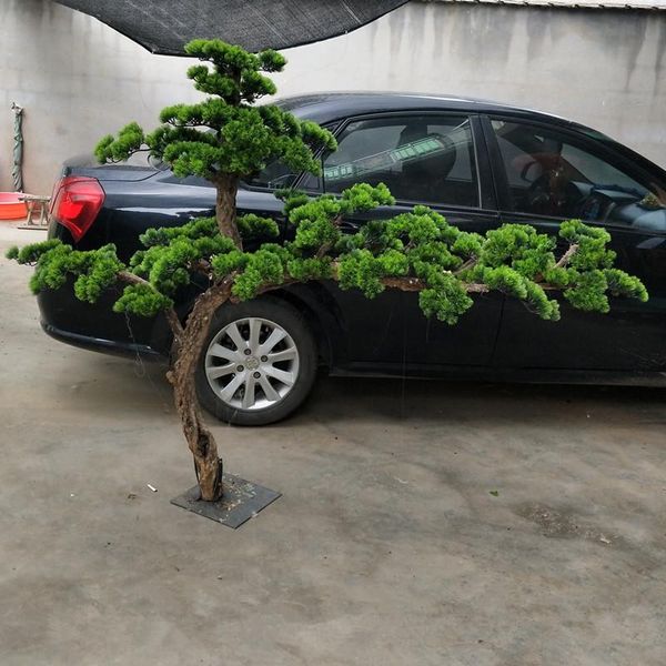 Декоративные цветы венки искусственные цветочные зеленые растения гостевые привязки к сосновым дереву псевдопинного дерева для домашнего сада мебель бонсай