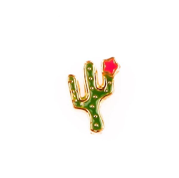 

20pc/lot green cactus with red flower floating locket charm fit for magnetic glass locket fashion jewelrys, Bronze;silver