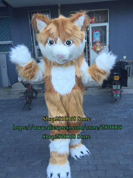 Mascote boneca fábrica fábrica de fábrica gato gato mascote traje de passeio animação animação animação promoção festa de aniversário 075