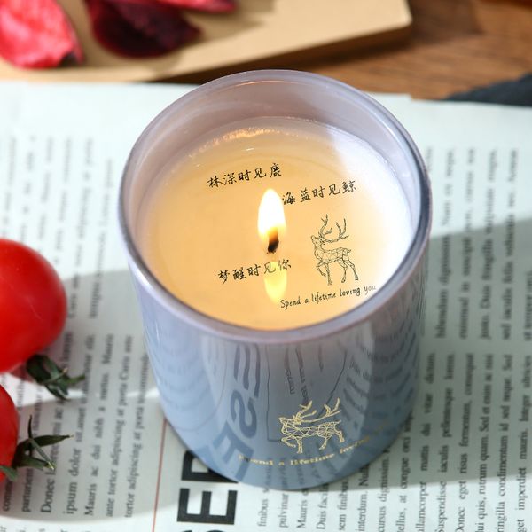 Оптовая ароматерапевтическая свеча творческая дымная кожа -ароматы аромата