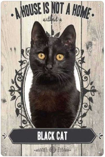 

cat wall decor retro metal plaque bar pub vintage poster set 8x12 inch sign13