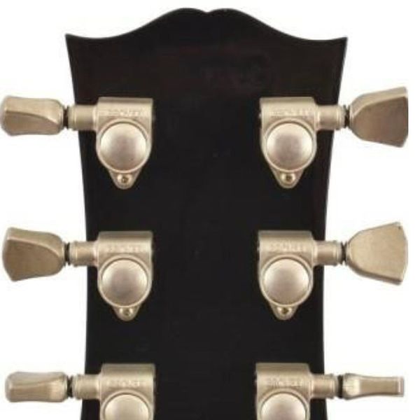 

byrdland, ebony fretboard,electric guitar