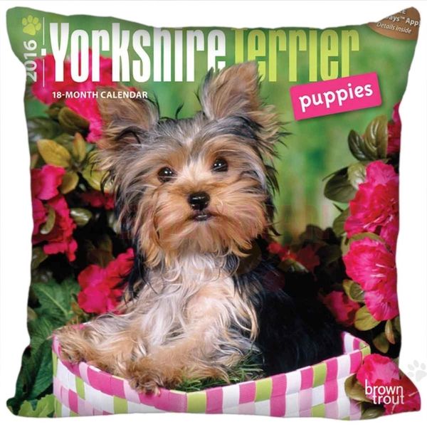 Yorkshire Terrier Dog Trophe Cand Zipper 35x35cm 40x40cm 45x45cm 60x60cm Dois lados travesseiros personalizados sua imagem 220622