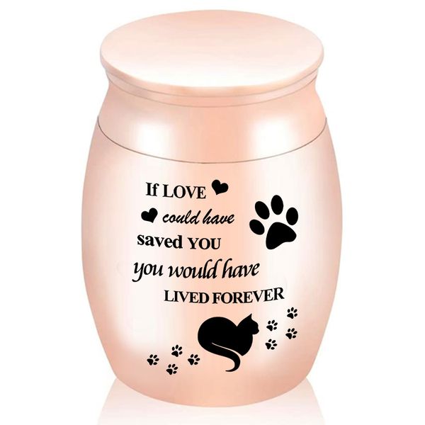 

engraving pendant cat dog paw pattern small keepsake for ashes stainless steel human pet cremation urns ash memorial funeral casket, Silver