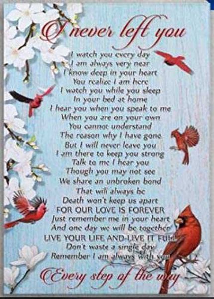 

vintage retro collection tin signs-cardinal bird i never left-wall decoration poster family bar restaurant cafe art metal