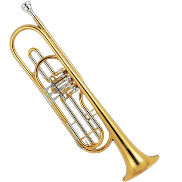 Hochwertige, professionelle Stimmpfeife aus Kupfernickel, Goldlackierung, Basstrompete, Trompeteninstrument