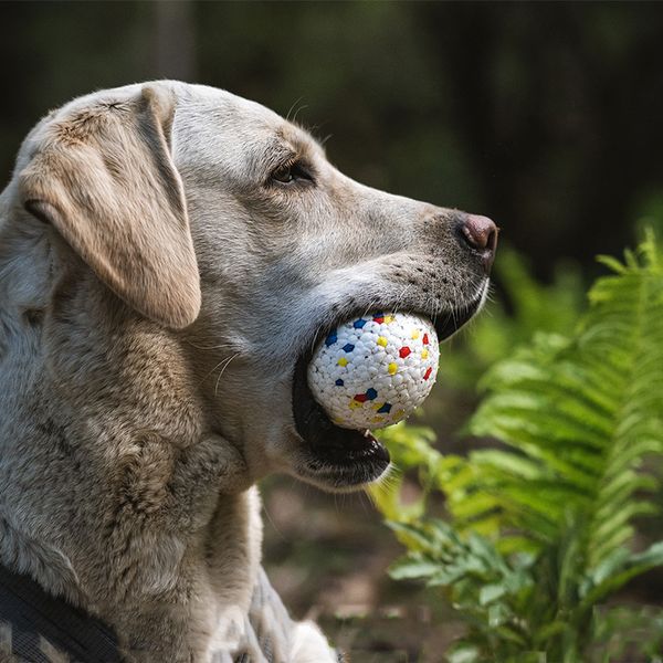 Lustige Haustiere Hund Welpen Ball Zähne Spielzeug ETPU Kauen Hunde Spielen Training Spielzeug Heimtierbedarf Außerhalb Spielzeug