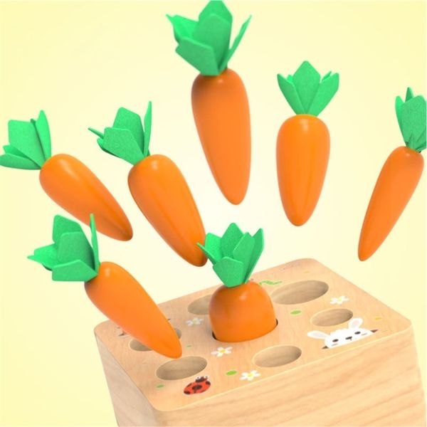 Giocattoli di legno Baby Montessori Set di giocattoli Tirare la forma della carota Corrispondenza delle dimensioni Cognizione Giocattolo per bambini Giocattolo educativo per bambini Regalo per bambini 220706