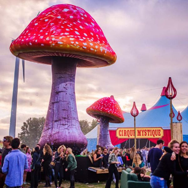 

customized double red giant inflatable mushroom with led and blower for outside christmas party stage event decorations