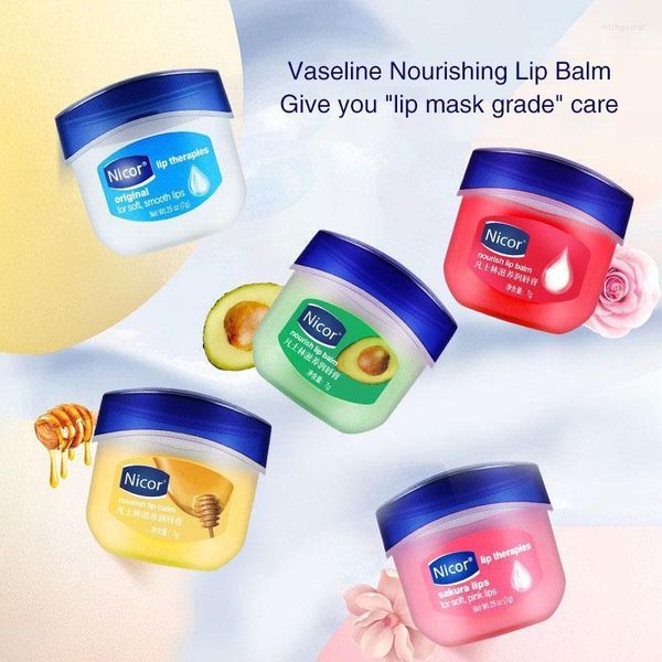 Lip Gloss Pack Vaselina Hidratante Hidratação de Longa Duração Bálsamo Natural Botânico Tratamento Anti-Rachaduras Lip GlossLip Wish22