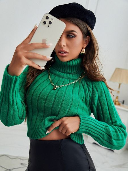 

solid high neck ribbed knit sweater f2ow#, White;black
