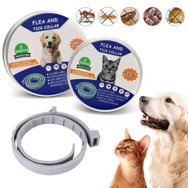 Cani Gatti Anti zanzare Collari per insetti Repellente per insetti Collari per animali domestici regolabili Accessori per gatti Protezione a lungo termine