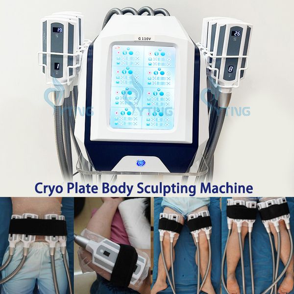 Neue Kryotherapie-Kühlplattenmaschine Kryolipolyse Kryo-Körperschlankheits-Bauchfettentfernung