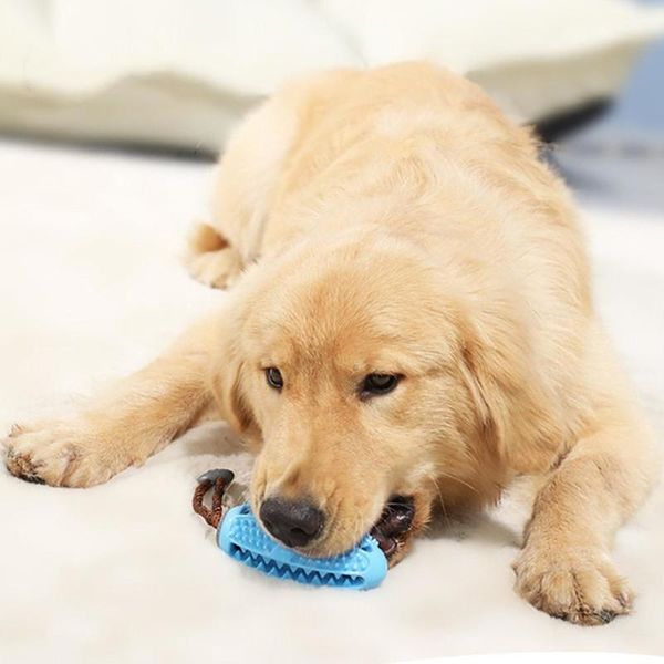 Giocattoli per cani da compagnia Giocattolo interattivo con palla di gomma naturale Divertente Elasticità interattiva Denti puliti Giocare a palle morali Cani Giocattoli da masticare 220801