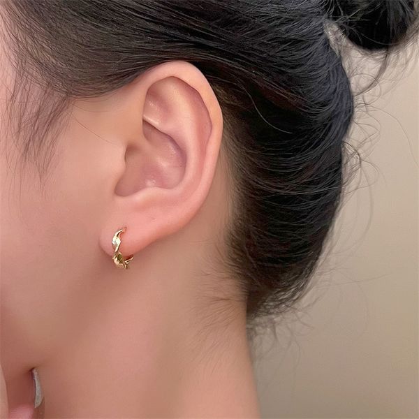 

european wave twist grain hoop earrings geometric irregular copper ear ring women female matte trendy gold circle earring white k accessorie, Golden;silver