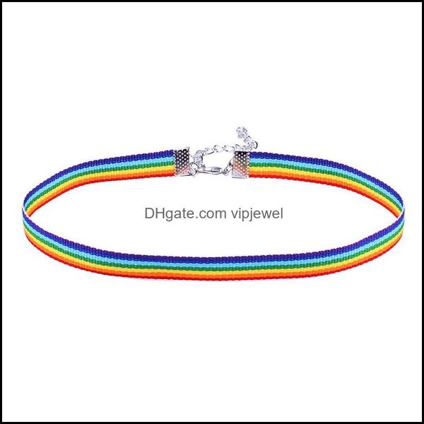 Anhänger Halsketten Anhänger Schmuck Neue Kinder Kleine Frauen Gay Pride Regenbogen-Halskette Silberkette und Spitze C Dhanx