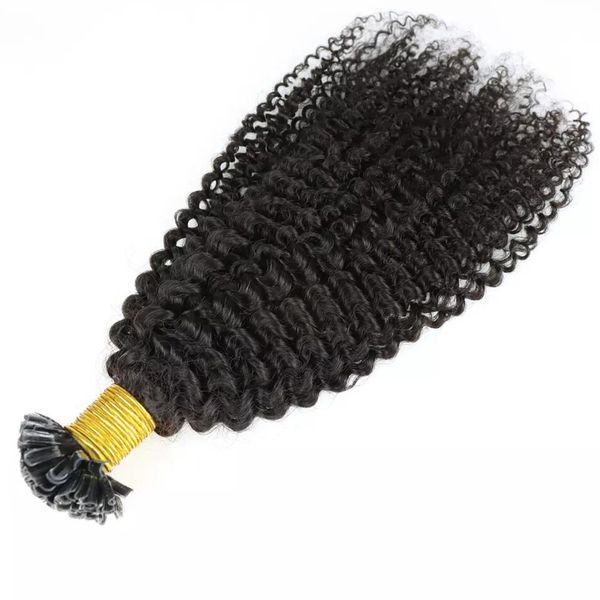 

wholesale pre-bonded u tip hair extensions afor kinky curly brazilian human hair extension natural color #1 #2 #4 #27 #613 #99j 100strands p, Black