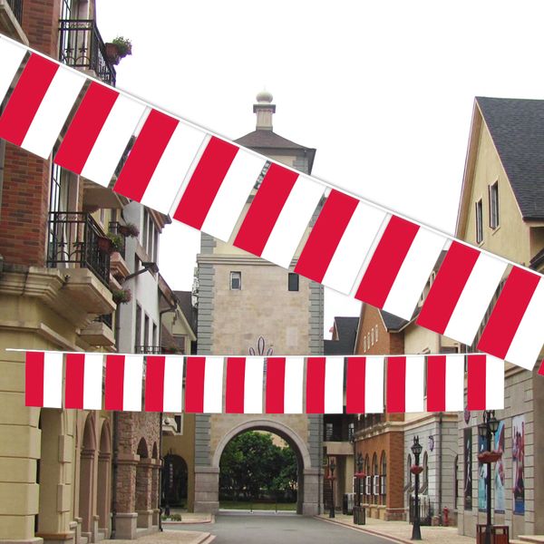 

poland string flag 20 flag 14x21cm hanging mini banner for indoor outdoor decoration